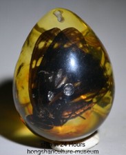 2.2" Insect Stone Butterfly