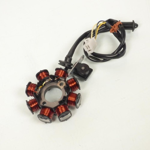 Stator allumage sgr pour - stator,