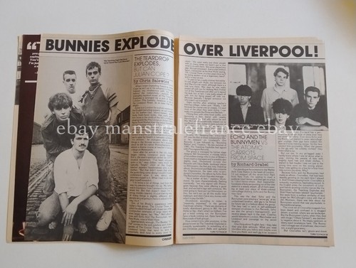 Echo and bunnymen - echo,
