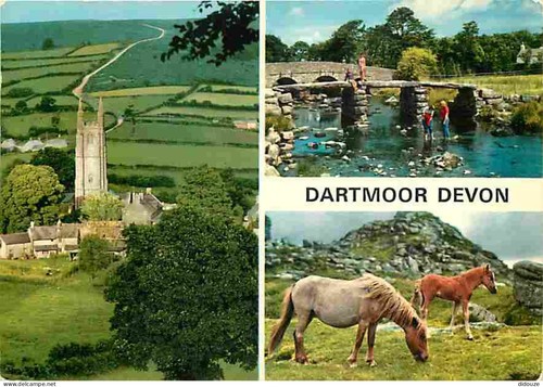 Carte postale animaux - carte,