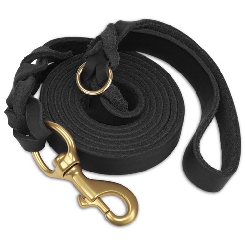 Laisse chien cuir - cuir,, en
