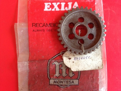 Montesa cota 123 - montesa, libre
