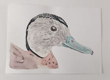 Canard sarcelle annelée