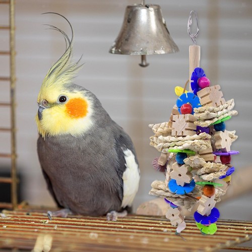 Interactif oiseau perroquet - interactif,