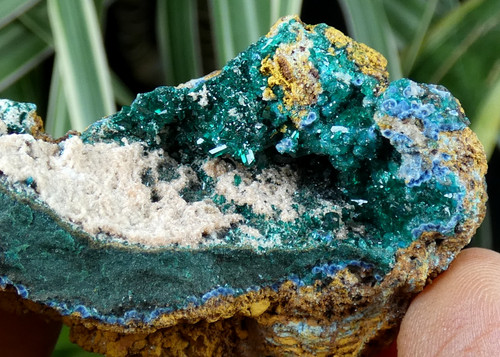 Dioptase shattuckite 6x3 5cm - dioptase, &