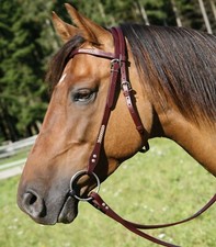 Bridon Western Virginia