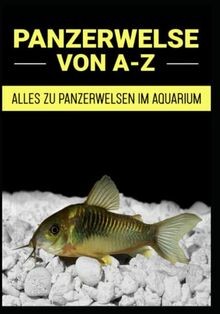 Panzerwelse von a - panzerwelse, (corydoras)