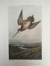 Gravure anglaise - , à