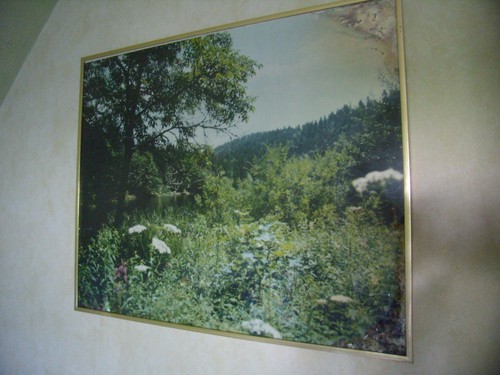 Cadre ancien sous verre - cadre, sous-verre