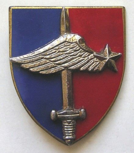 Insigne escadron protection - de,