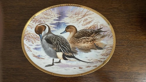 Assiettes collection canard - assiettes,