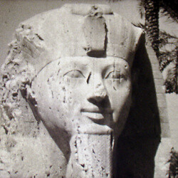 Film 2000 km en - 2000, Égypte