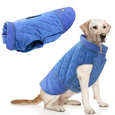 Manteau Coupe-Vent pour Chien