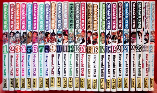 Shaman king complet - king, en