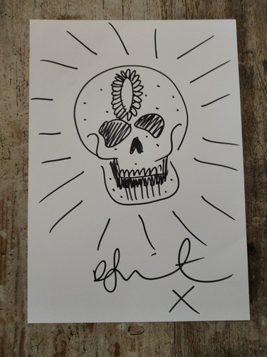 Beautiful skull drawing - beautiful, signed