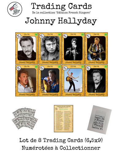 Johnny hallyday french singers - hallyday,