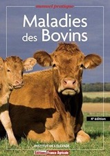 Maladies des Bovins