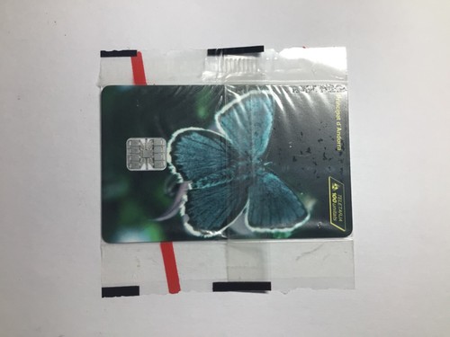 Andorre and papillon bleu - -,