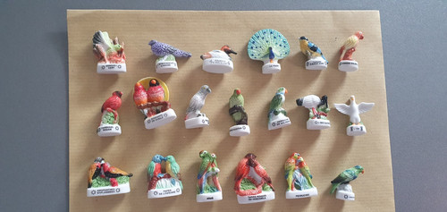 Feves oiseaux perroquets - feves,