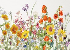 Affiche d'art mural floral