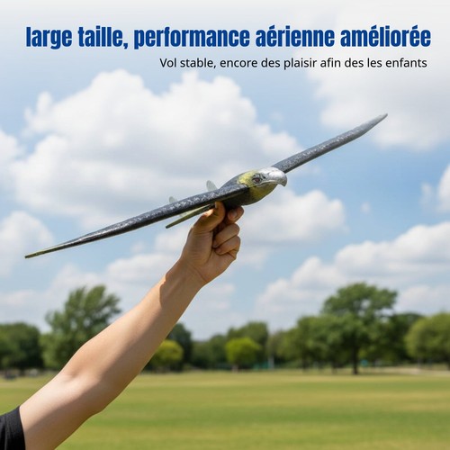 Planeur mousse epp modèle - en,