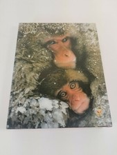 Merigold Press puzzle 63 pc