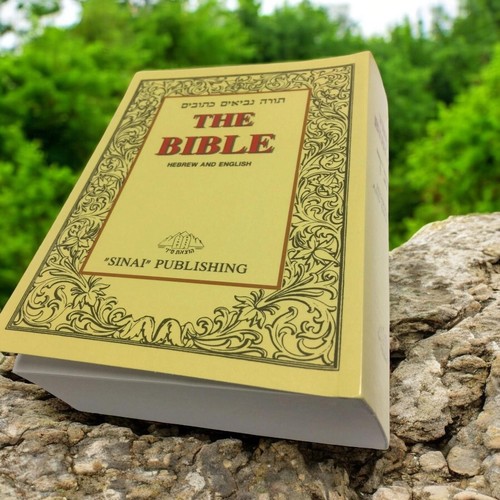 Livre sainte bible - la,
