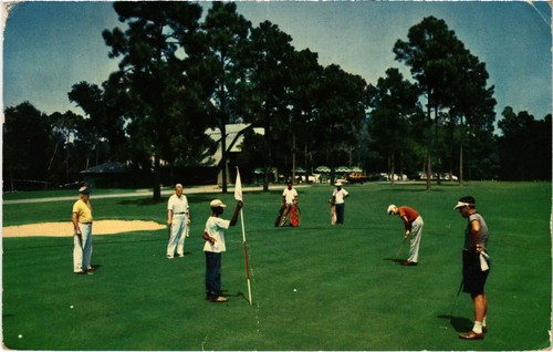 Golf sport lakewood - pc, golf,