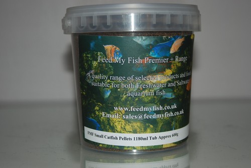Fmf poisson chat bas - poisson-chat,
