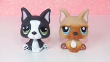 LOT authentic littlest LPS