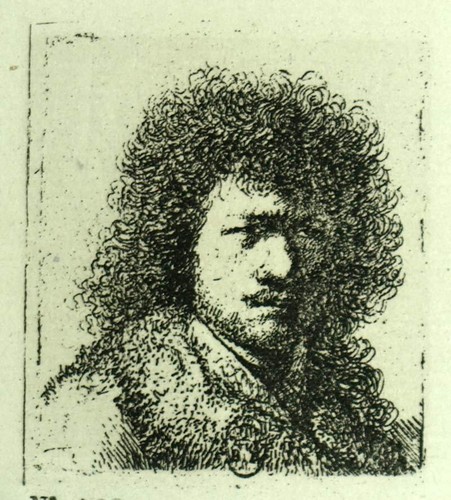 Rembrandt aux cheveux - aux,