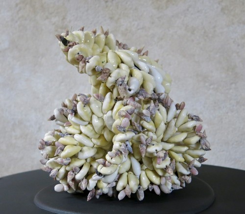 Bouquet coquillage beau - beau, &