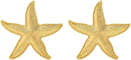 Boucles oreilles étoile - d'oreilles, de
