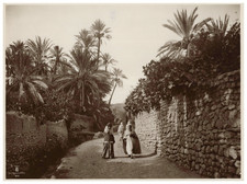 Lehnert & Landrock, Algérie