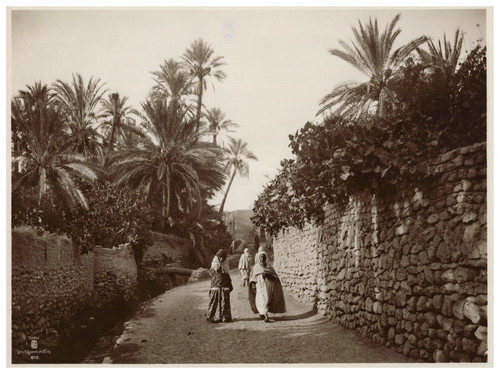 Lehnert landrock algérie - lehnert,