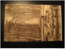 VERSAILLES Automne Bacchus