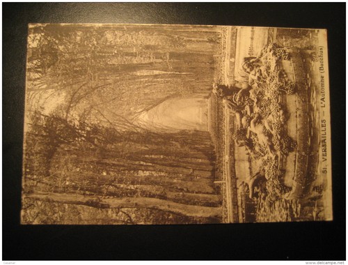 Versailles automne bacchus - versailles,