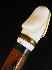 Canne pommeau de curiosité