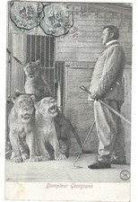 CIRQUE MENAGERIE LIONS dompteur Georgiano gros plan