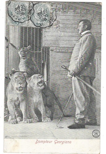 Cirque menagerie lions - cirque,