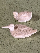 Oiseau  couple de petits