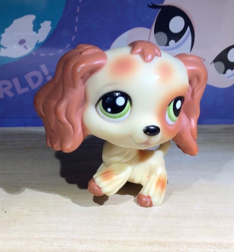 Authentic littlest pet shop - authentic,