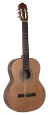 Volt Guitare de Concert