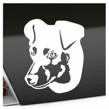 Autocollant De Chien Pinscher