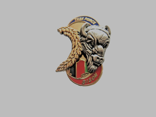 Rare ancien pins - rare, infanterie