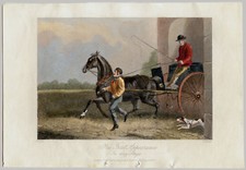 LITHOGRAPHIE ANCIENNE, E. Corbet, E. Hacker, Ely, cheval 