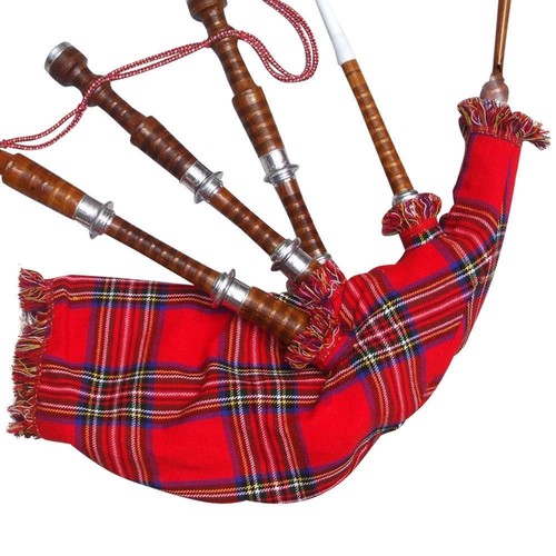 écossais highland grande - tc,