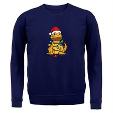Pogona Noël Lumières -