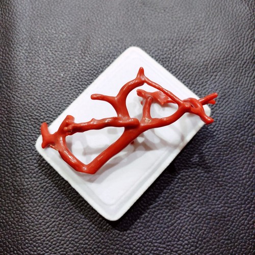 Belle branche corail - branche, de