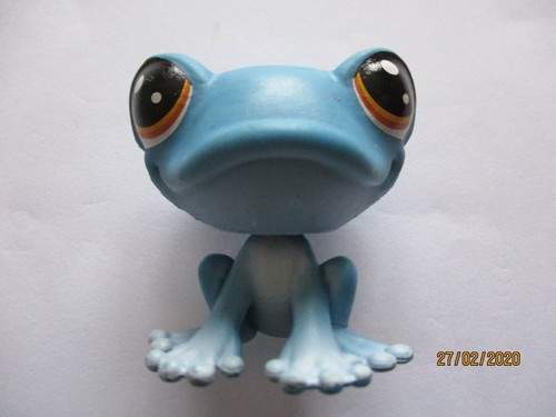 Petshop grenouille - petshop, "